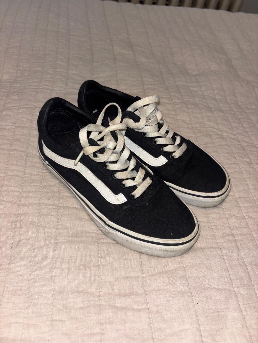 Vans Black Canvas Low-Top Sneakers with White Side Stripe